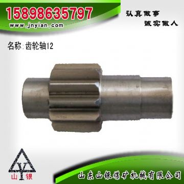 點擊查看詳細信息<br>標題：齒輪軸12 江陰系列配件 閱讀次數(shù)：2079
