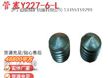 點(diǎn)擊查看詳細(xì)信息<br>標(biāo)題：英格索蘭隔膜泵配件管塞Y227-6-L 閱讀次數(shù)：221