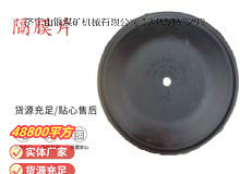 點(diǎn)擊查看詳細(xì)信息<br>標(biāo)題：氣動(dòng)隔膜泵配件-隔膜片 閱讀次數(shù)：181