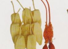 點(diǎn)擊查看詳細(xì)信息<br>標(biāo)題：取氣樣球膽 閱讀次數(shù)：84